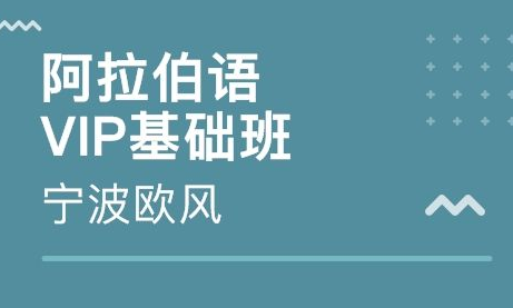 入門阿拉伯語培訓班哪里有？